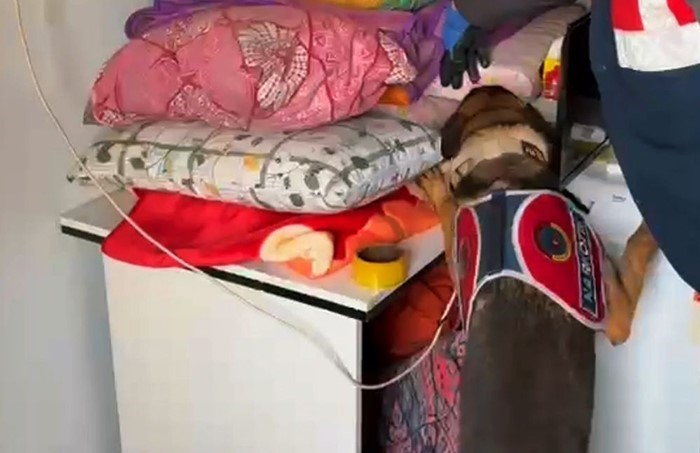 Burdur ve Antalya’da "Narko Kapanı" operasyonu: 22 gözaltı
