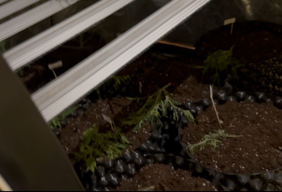 Burdur’da evi uyuşturucu imalathanesine çeviren şüpheli tutuklandı
