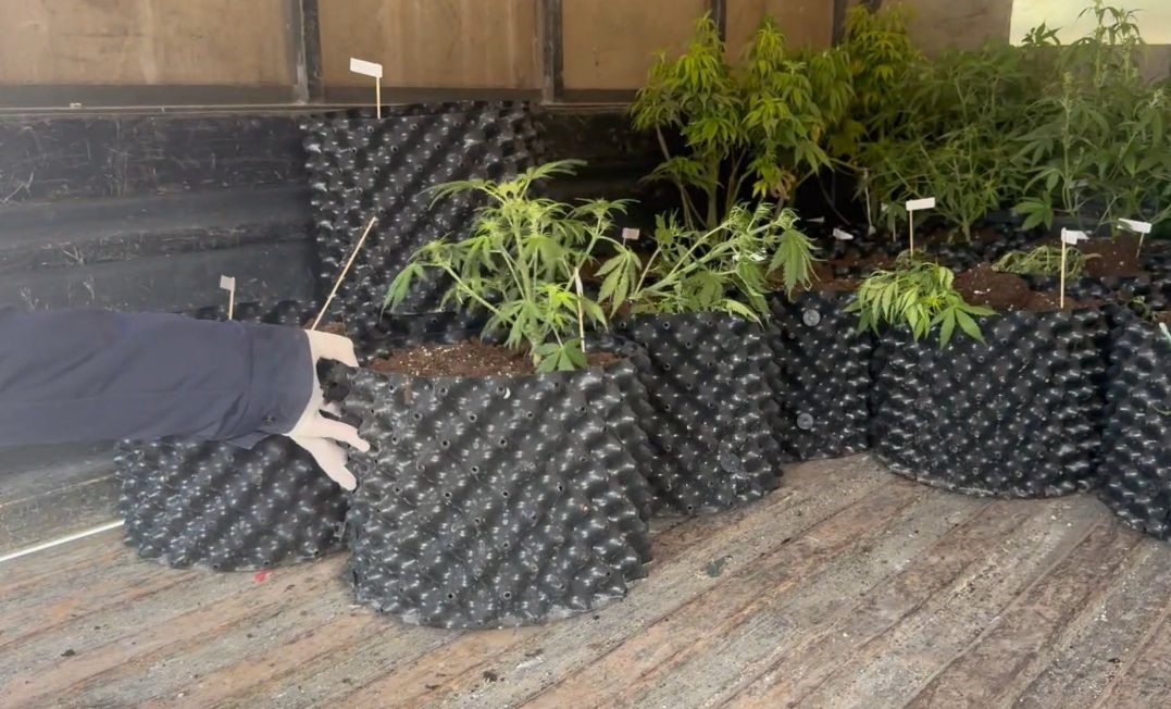 Burdur’da evi uyuşturucu imalathanesine çeviren şüpheli tutuklandı
