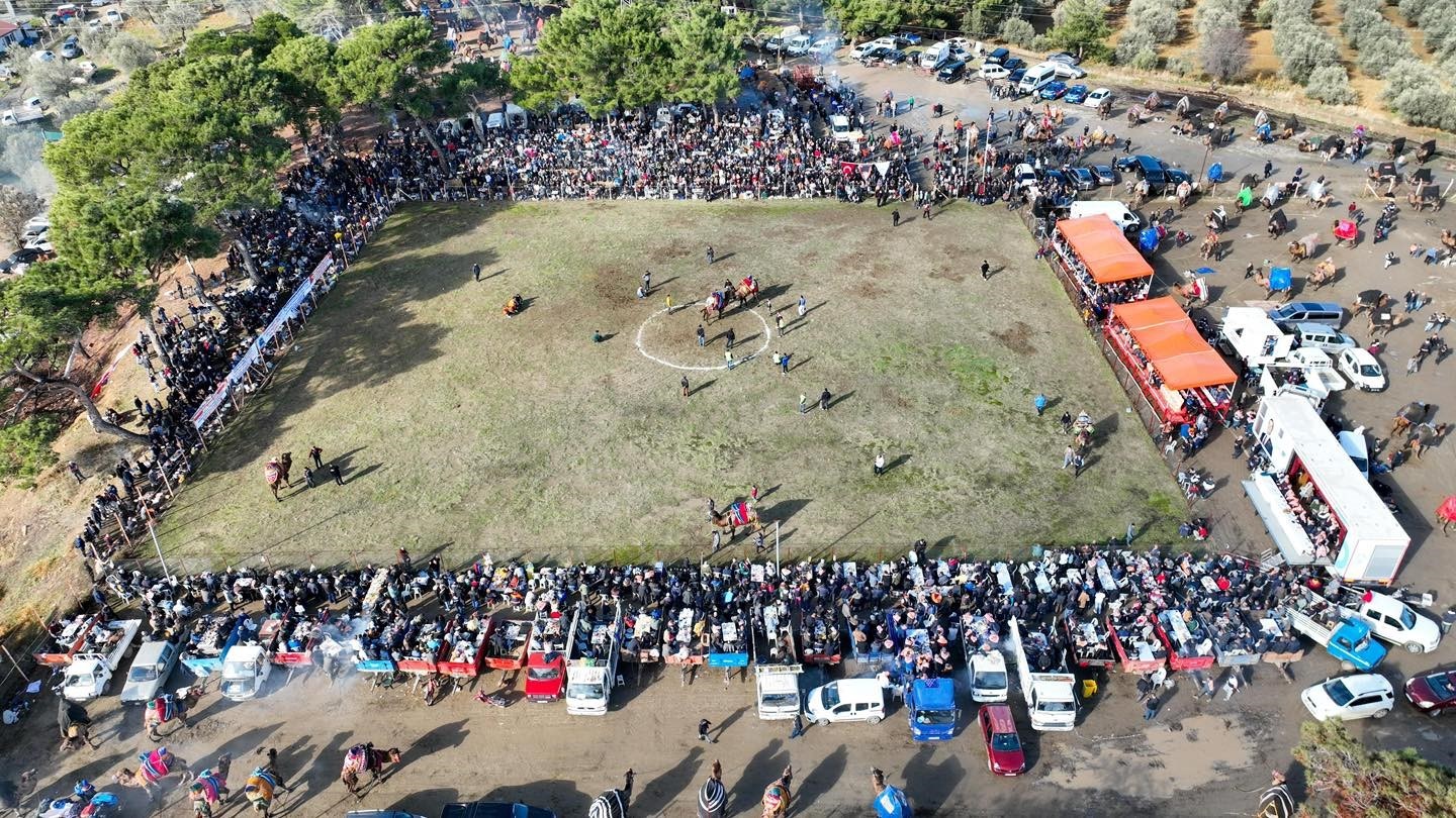 Burhaniye’ de Pazar günü deve güreşi yapılacak
