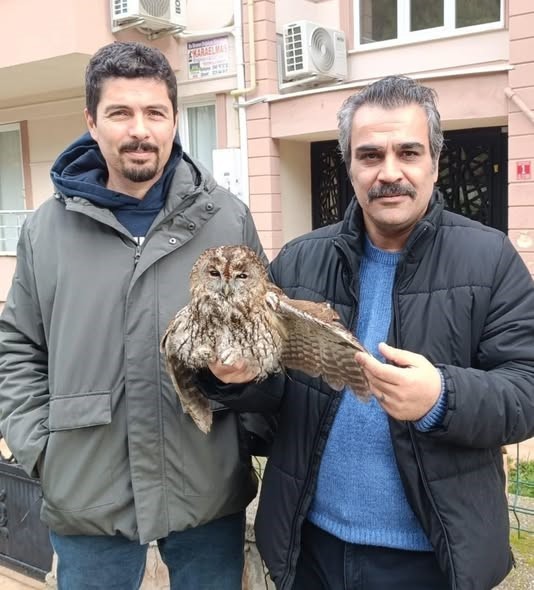 Burhaniye de soğuk hava yaban hayvanlarını da olumsuz etkiledi
Burhaniye de soğuk hava yaban hayvanlarını da olumsuz etkiledi