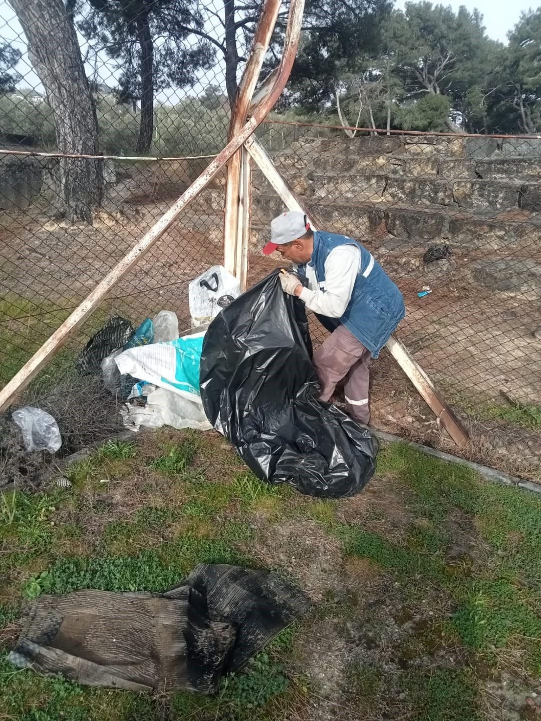 Burhaniye’de deve güreşleri Pelitköy sahasında yapılacak
