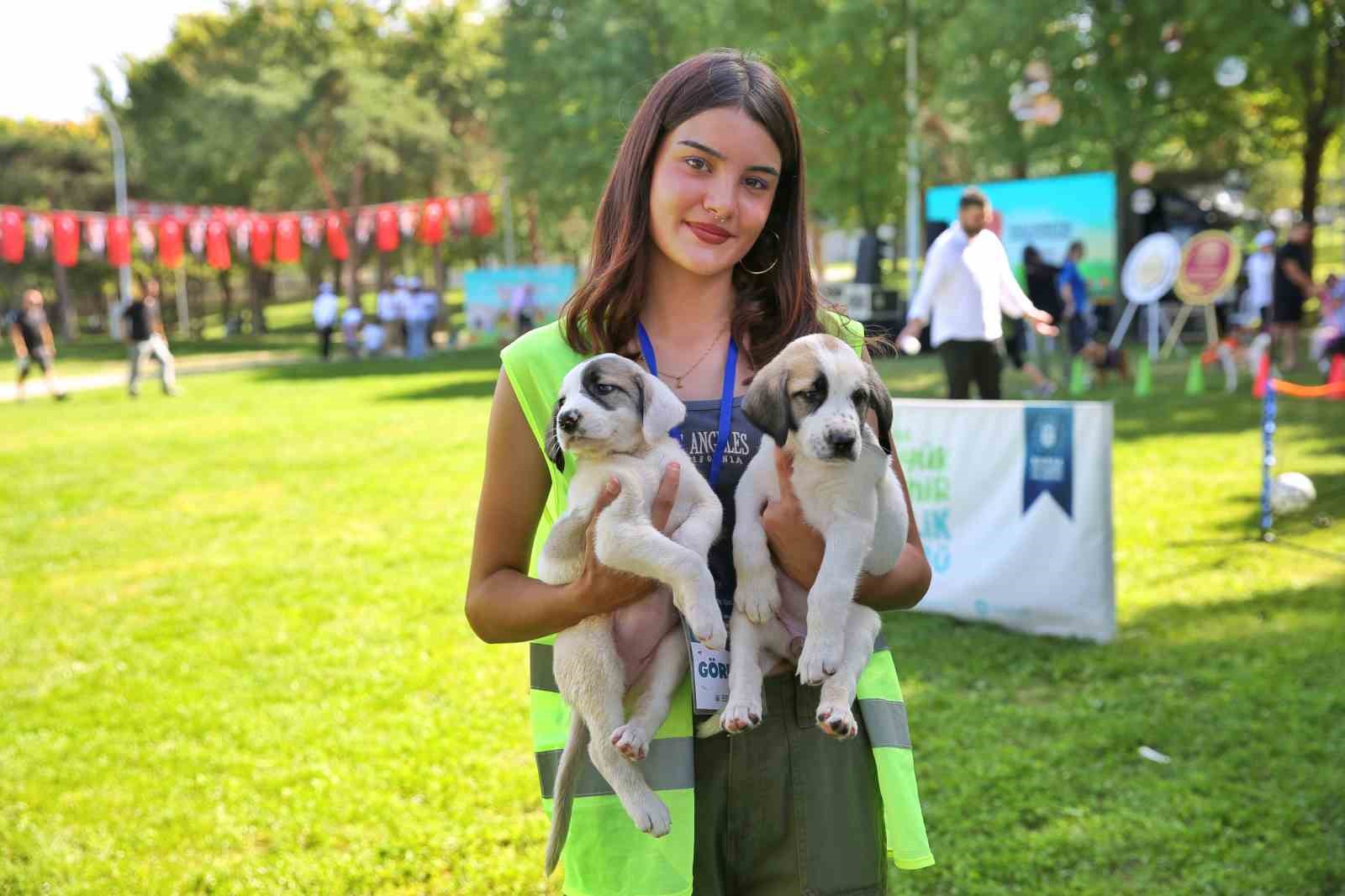 Bursa Büyükşehir Belediyesi patili dostların yanında

