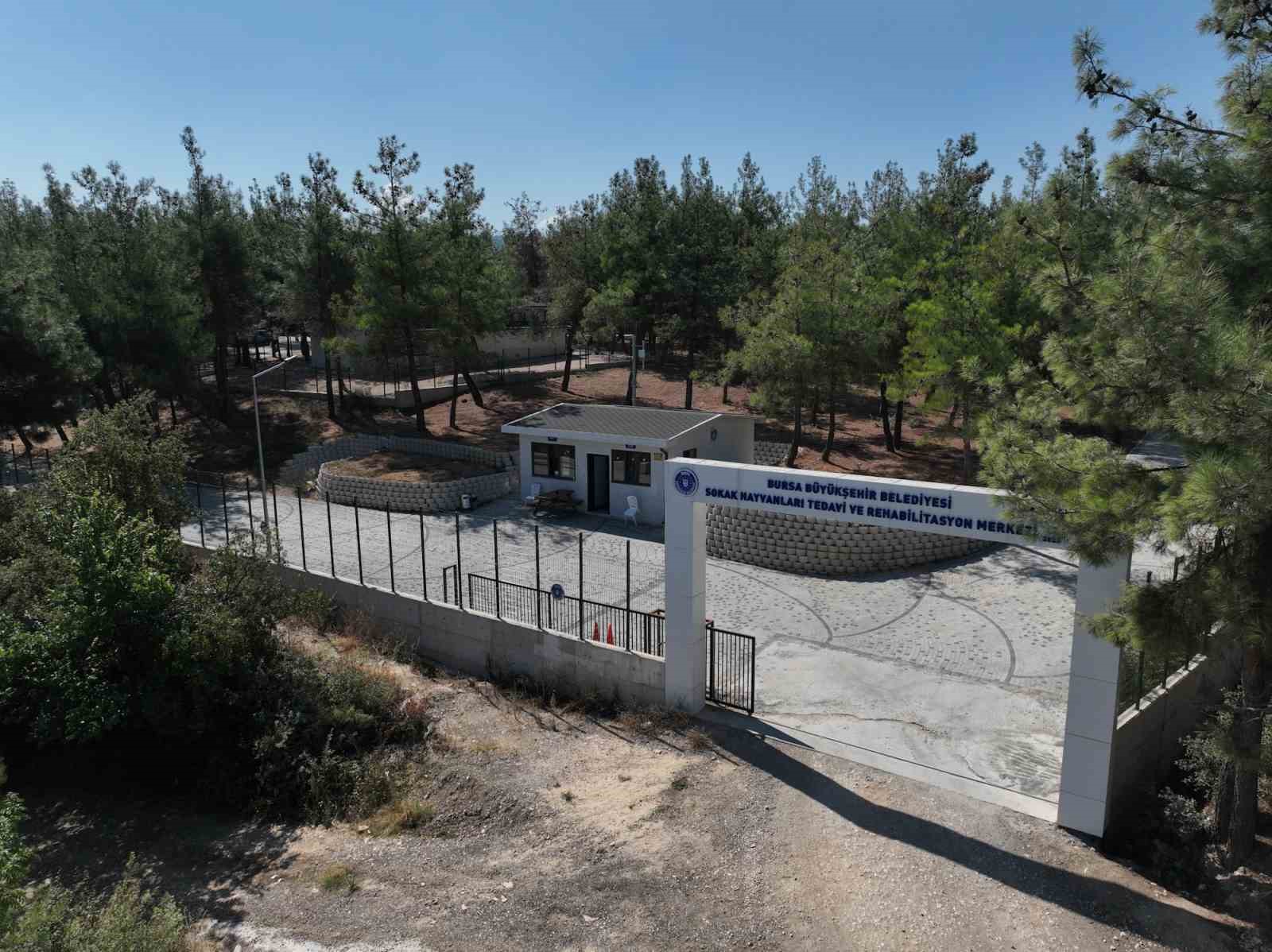 Bursa Büyükşehir Belediyesi patili dostların yanında
