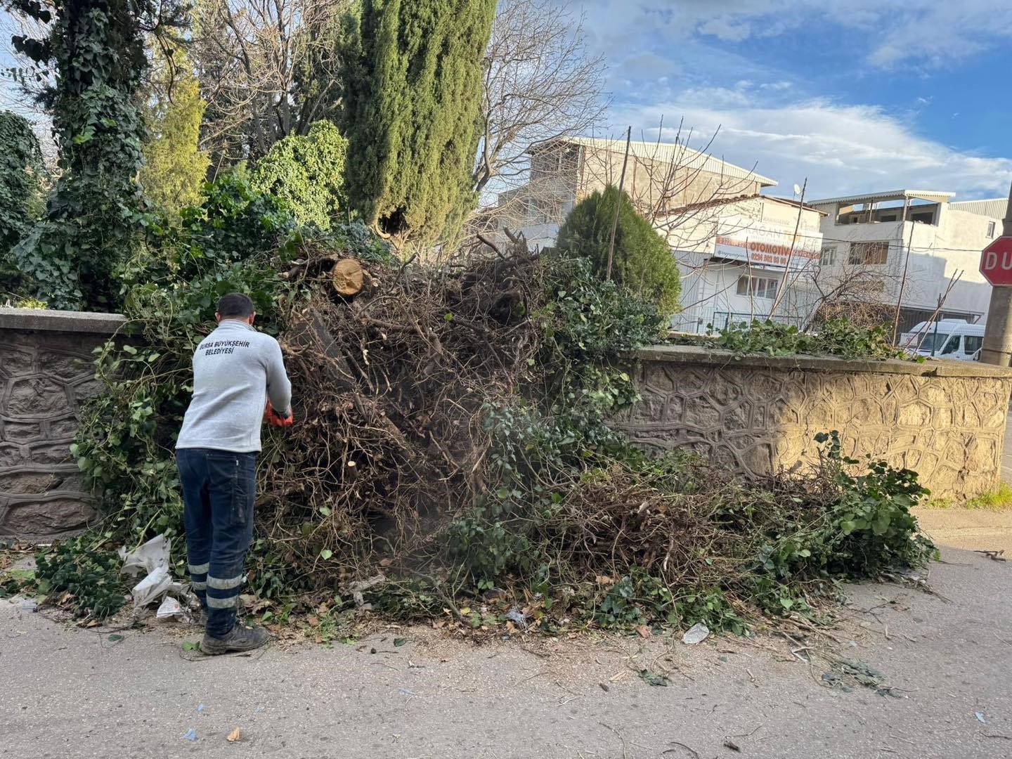 Bursa Büyükşehir, şiddetli rüzgara karşı teyakkuzda
Bursa Büyükşehir, şiddetli rüzgara karşı teyakkuzda