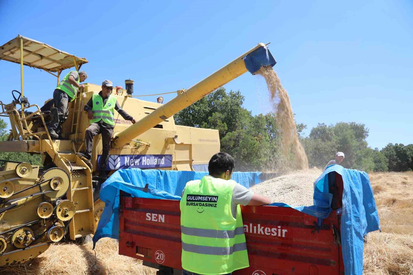 Bursa Büyükşehir, üreticiye nefes oluyor
