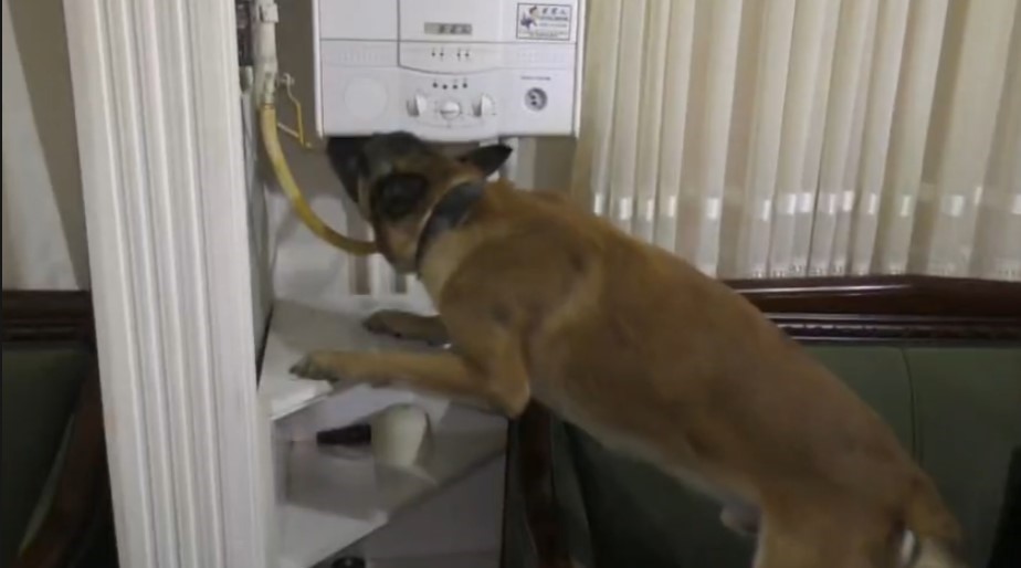 Bursa semalarında helikopter ve İHA’lar uyuşturucu tacirleri için uçtu
