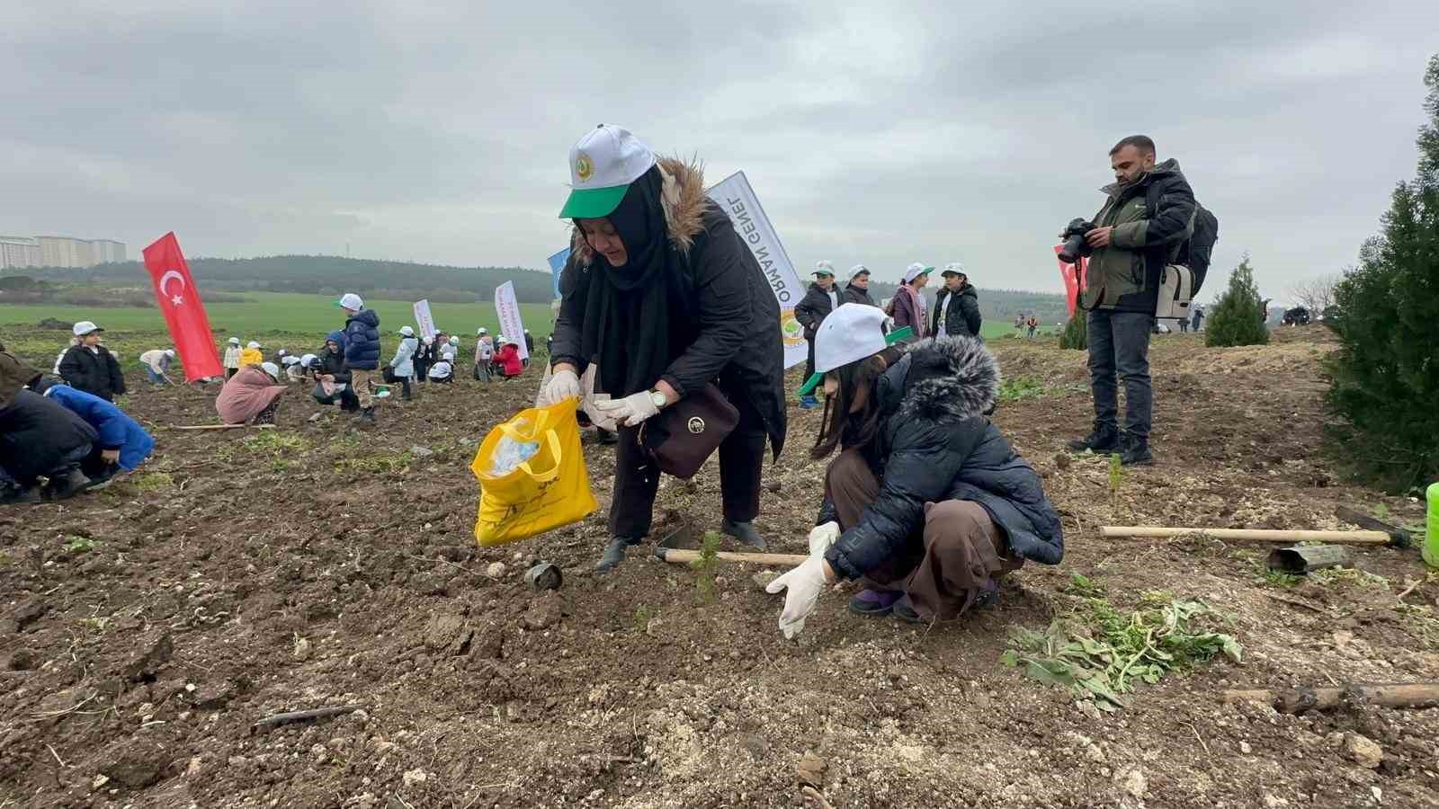 Bursa’da 2 yıl önce yanan 80 hektarlık alan ağaçlandırıldı
