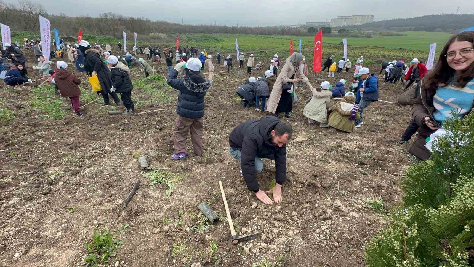 Bursa’da 2 yıl önce yanan 80 hektarlık alan ağaçlandırıldı
