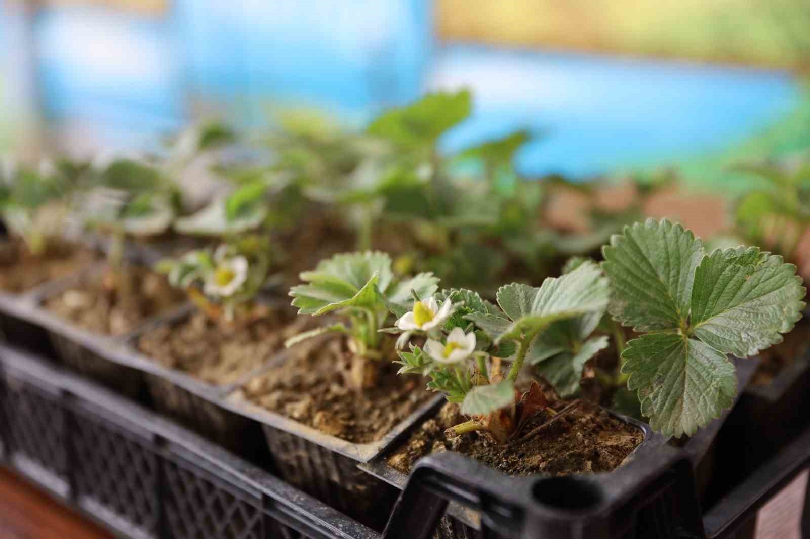 Bursa’da çiftçilere eğitim desteği
