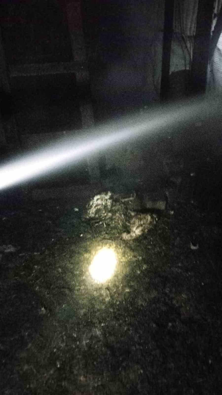 Bursa’da çiftlikte yangın: 580 kanatlı hayvan telef oldu
