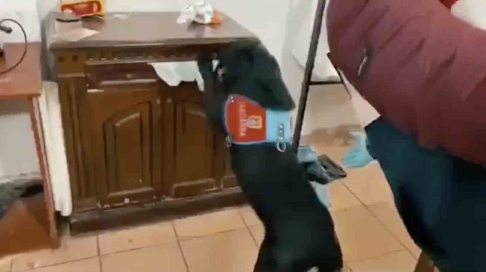 Bursa’da dev uyuşturucu operasyonu, kilolarca madde ele geçirildi 2 kişi tutuklandı
