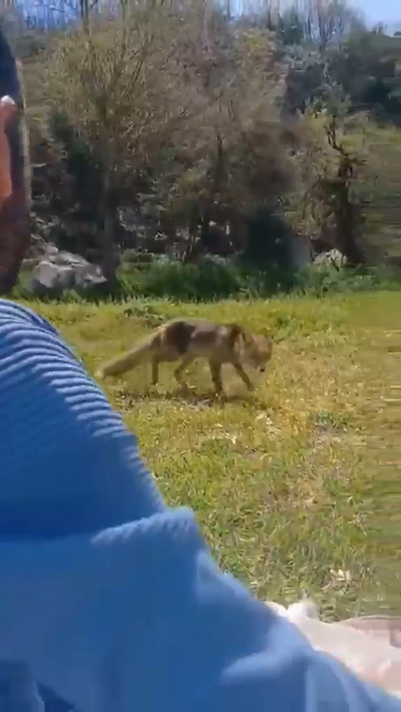 Bursa’da ilginç görüntüler
