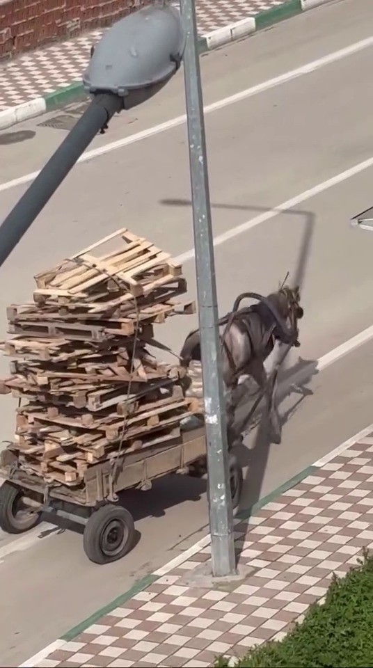 Bursa’da pes dedirten görüntüler
