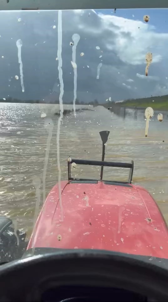 Bursa’da sağanak yağış tarımı vurdu

