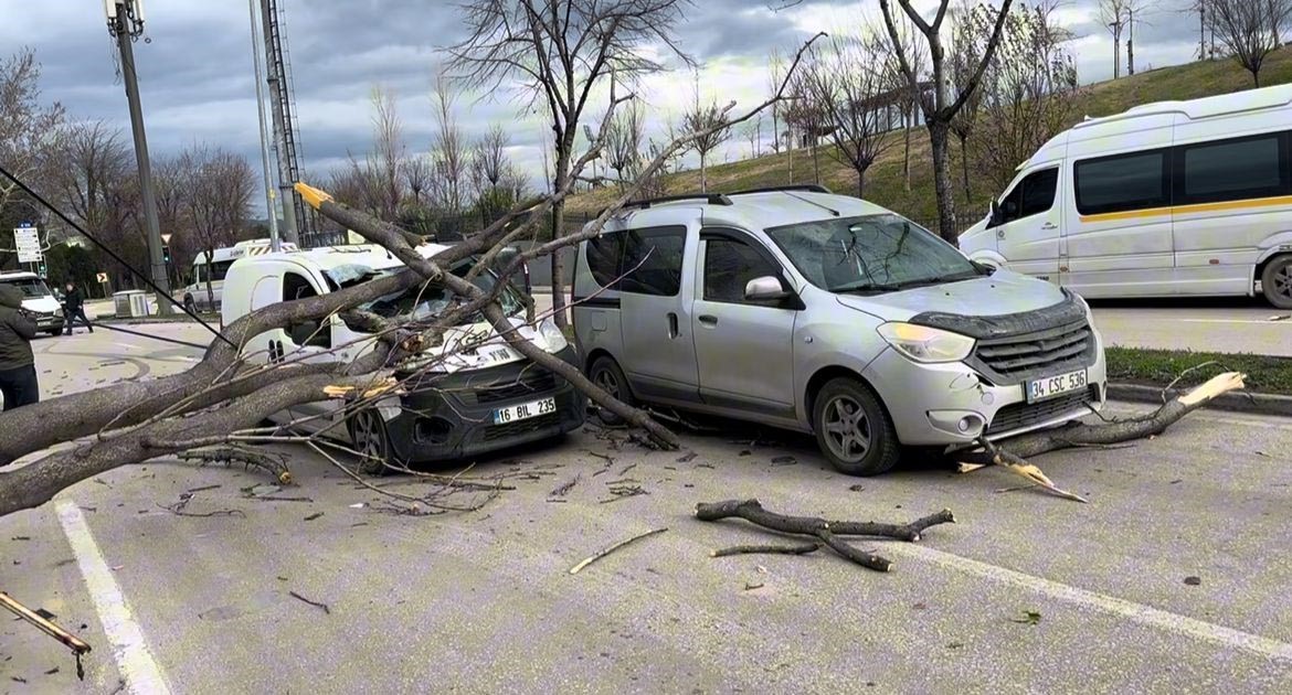 Bursa’da seyir halindeki araçların üzerine ağaç devrildi
