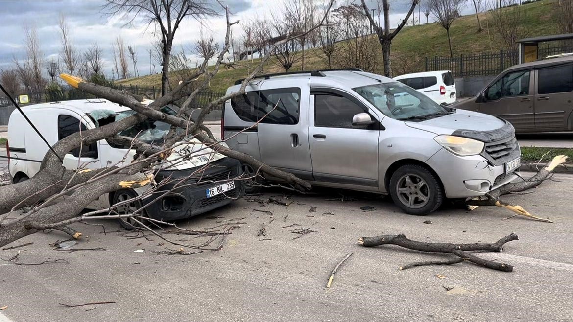 Bursa’da seyir halindeki araçların üzerine ağaç devrildi
