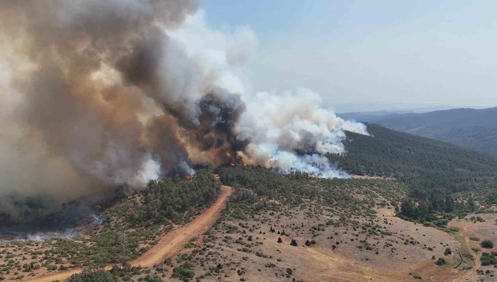 Bursa’da tarihin en büyük orman yangınında yaralar böyle sarıldı
