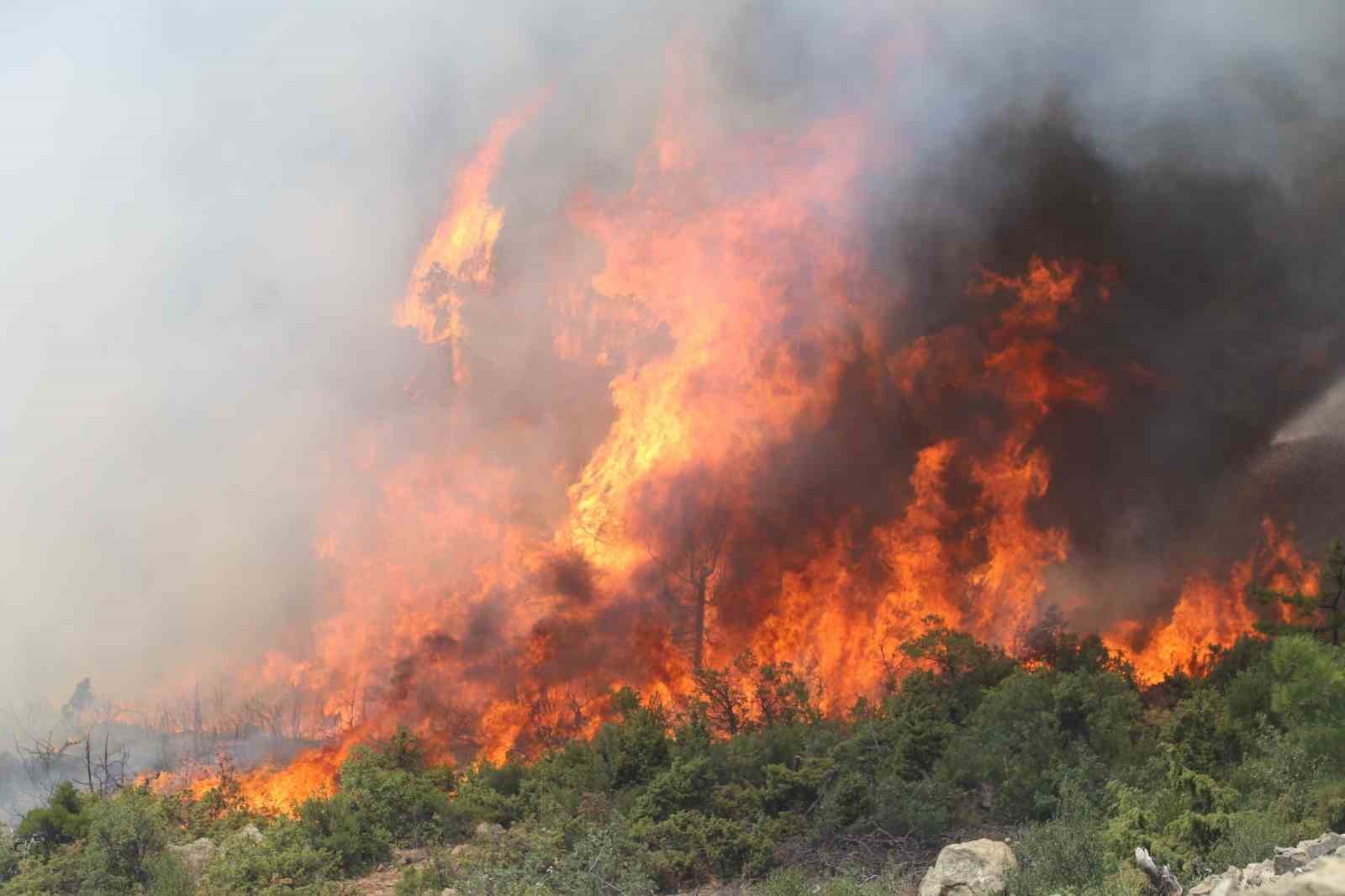 Bursa’da tarihin en büyük orman yangınında yaralar böyle sarıldı
