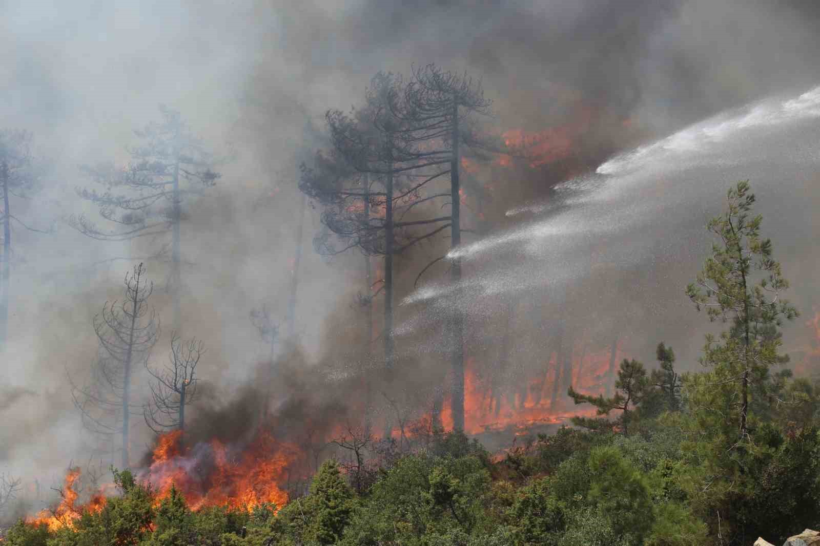 Bursa’da tarihin en büyük orman yangınında yaralar böyle sarıldı
