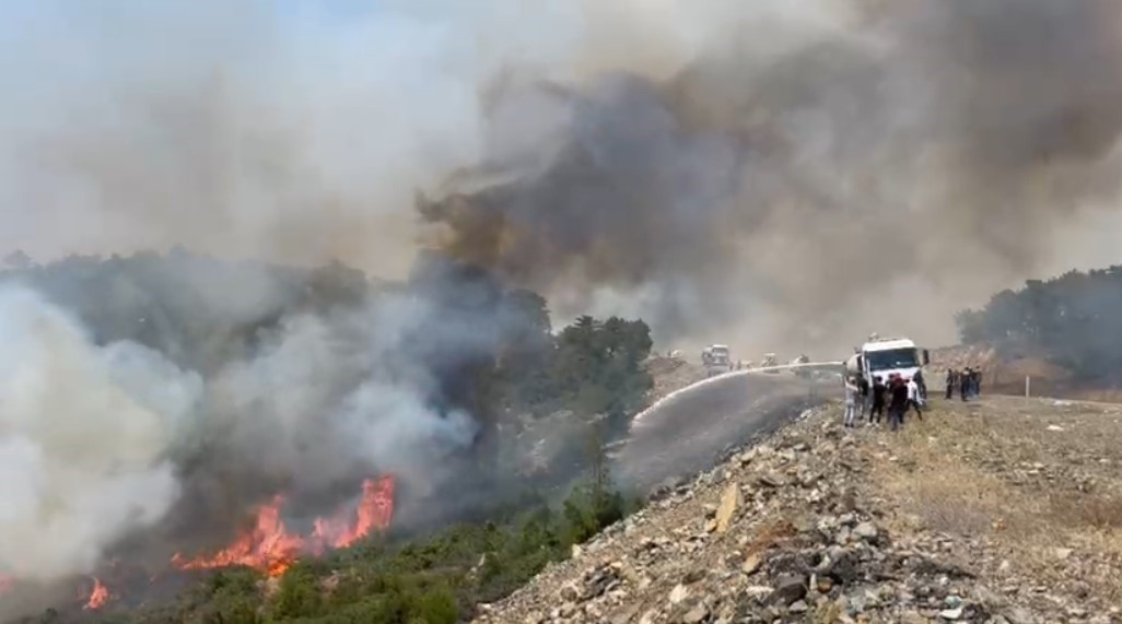 Bursa’da tarihin en büyük orman yangınında yaralar böyle sarıldı
