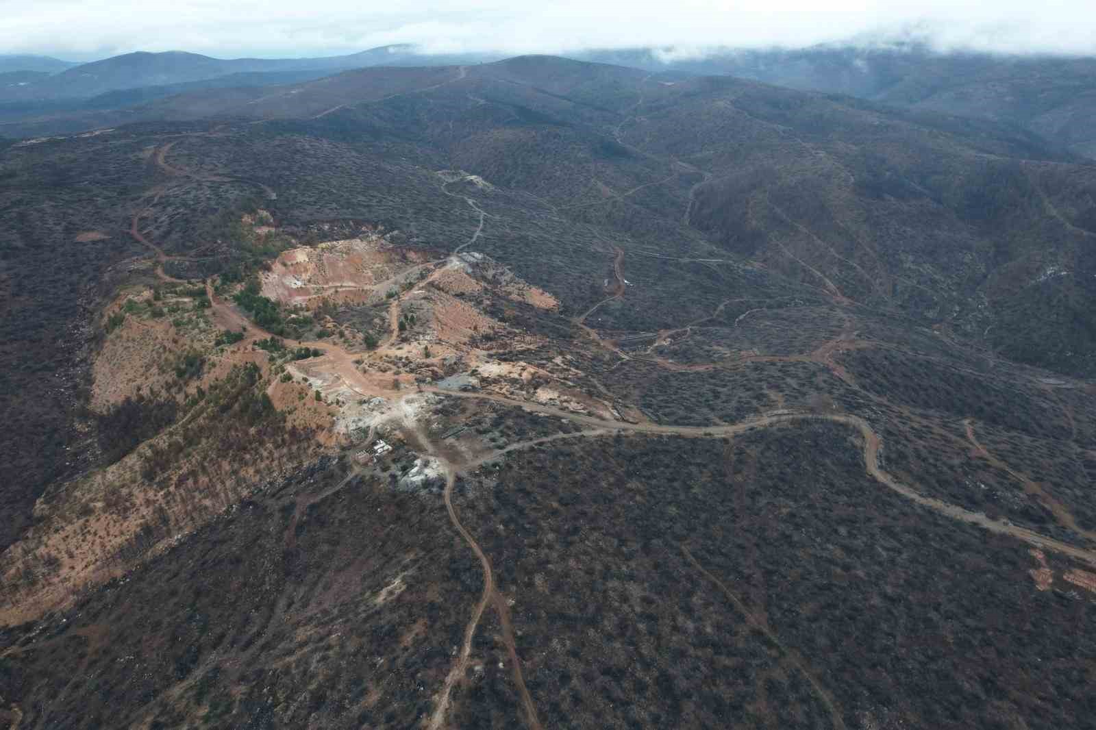 Bursa’da tarihin en büyük orman yangınında yaralar böyle sarıldı
