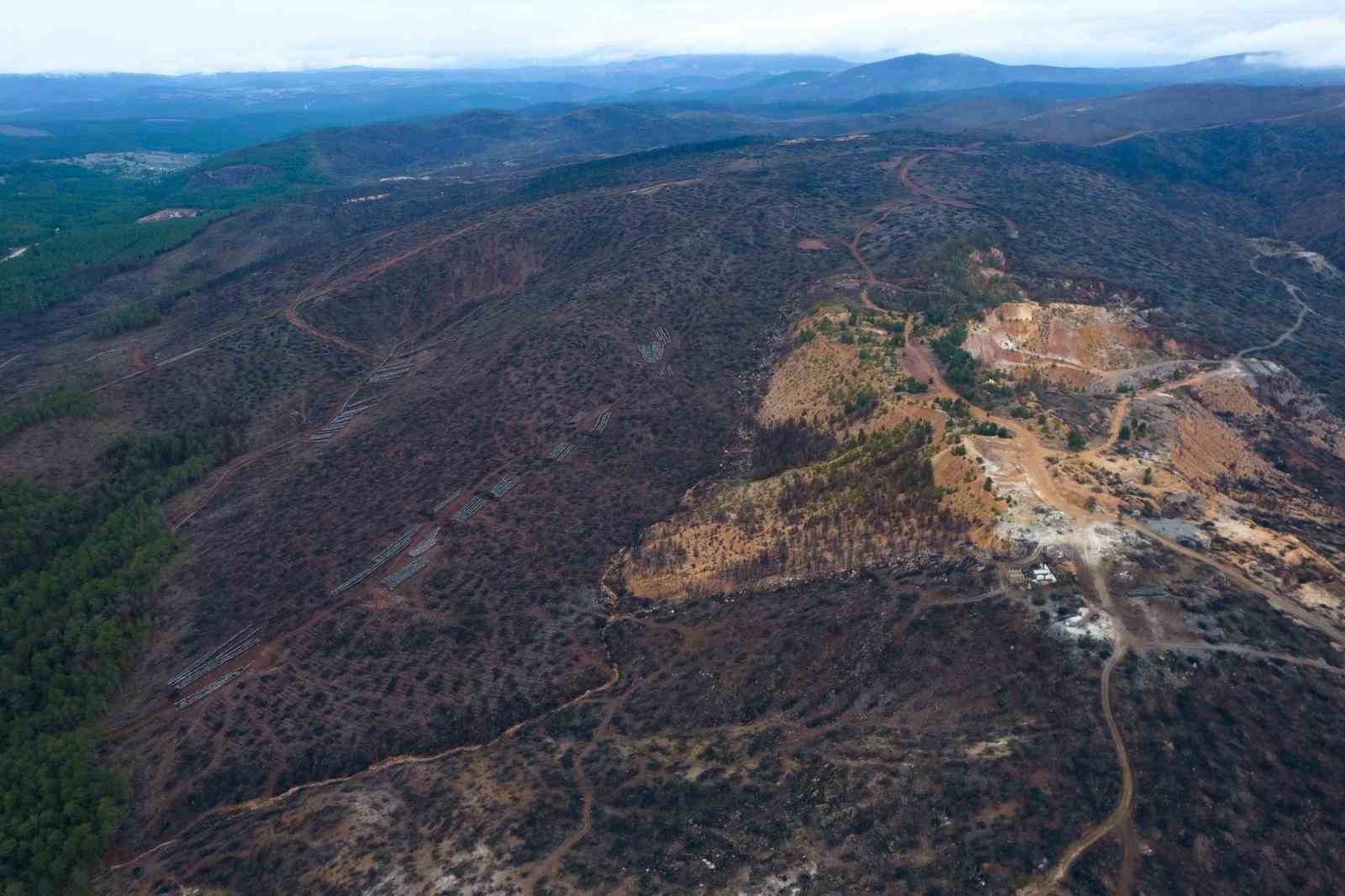 Bursa’da tarihin en büyük orman yangınında yaralar böyle sarıldı
