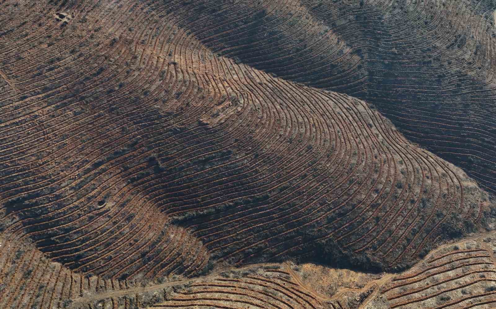 Bursa’da yanan ormanlar 8 ayda ilmek ilmek işlendi, bölge yeniden can buldu
Bursa’da yanan ormanlar 8 ayda ilmek ilmek işlendi, bölge yeniden can buldu