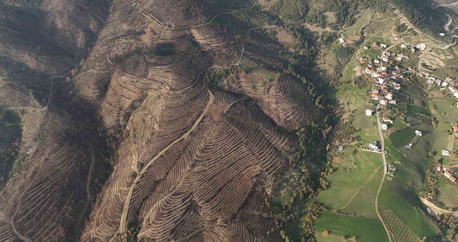 Bursa’da yanan ormanlar 8 ayda ilmek ilmek işlendi, bölge yeniden can buldu
Bursa’da yanan ormanlar 8 ayda ilmek ilmek işlendi, bölge yeniden can buldu
