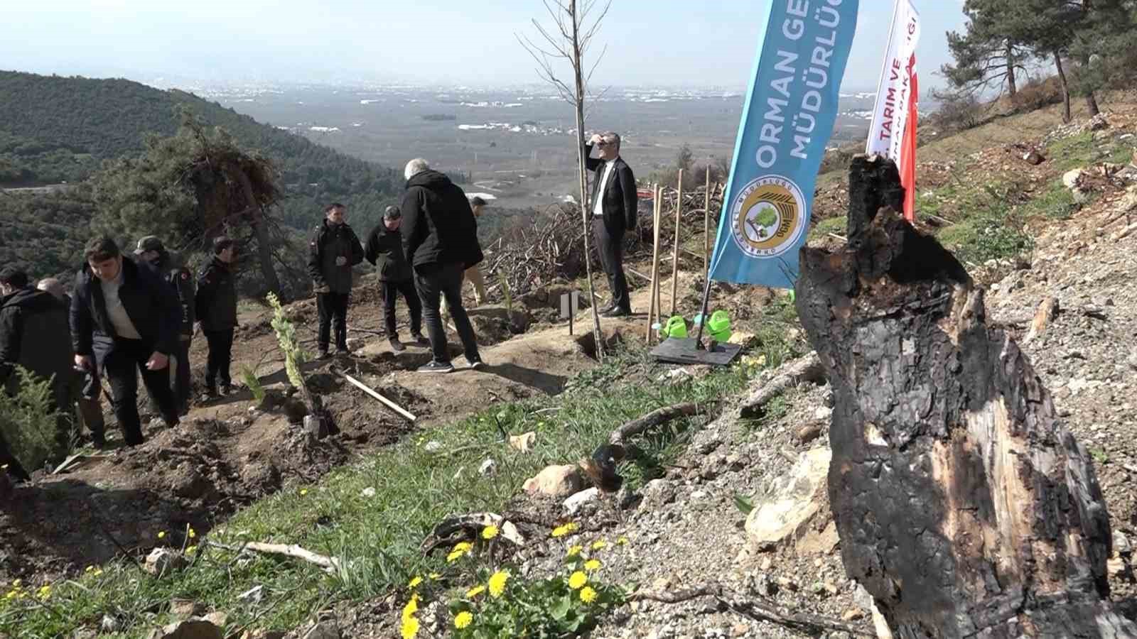 Bursa’da yanan ormanlar 8 ayda ilmek ilmek işlendi, bölge yeniden can buldu
Bursa’da yanan ormanlar 8 ayda ilmek ilmek işlendi, bölge yeniden can buldu
