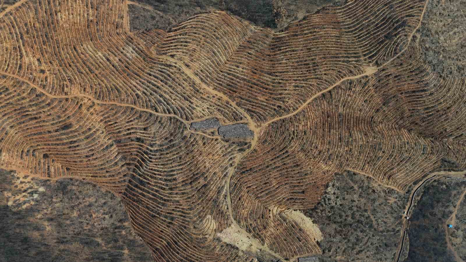 Bursa’da yanan ormanlar 8 ayda ilmek ilmek işlendi, bölge yeniden can buldu
Bursa’da yanan ormanlar 8 ayda ilmek ilmek işlendi, bölge yeniden can buldu