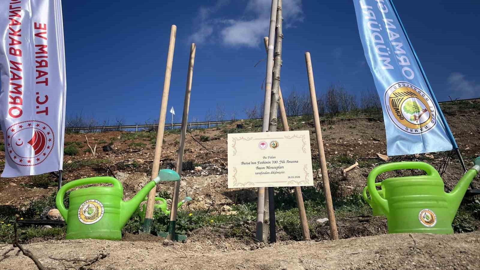 Bursa’da yanan ormanlar 8 ayda ilmek ilmek işlendi, bölge yeniden can buldu
Bursa’da yanan ormanlar 8 ayda ilmek ilmek işlendi, bölge yeniden can buldu