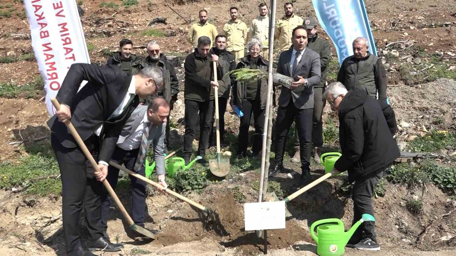 Bursa’da yanan ormanlar 8 ayda ilmek ilmek işlendi, bölge yeniden can buldu
Bursa’da yanan ormanlar 8 ayda ilmek ilmek işlendi, bölge yeniden can buldu