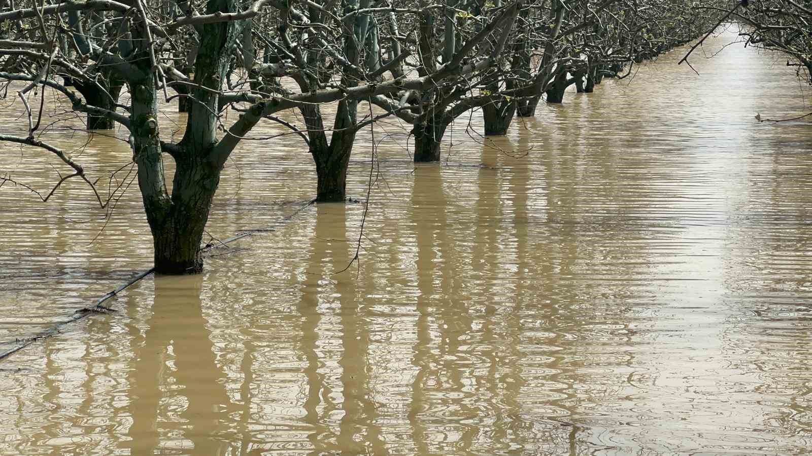 Bursa’da yüzlerce dönüm şeftali ve armut bahçesi su altında
