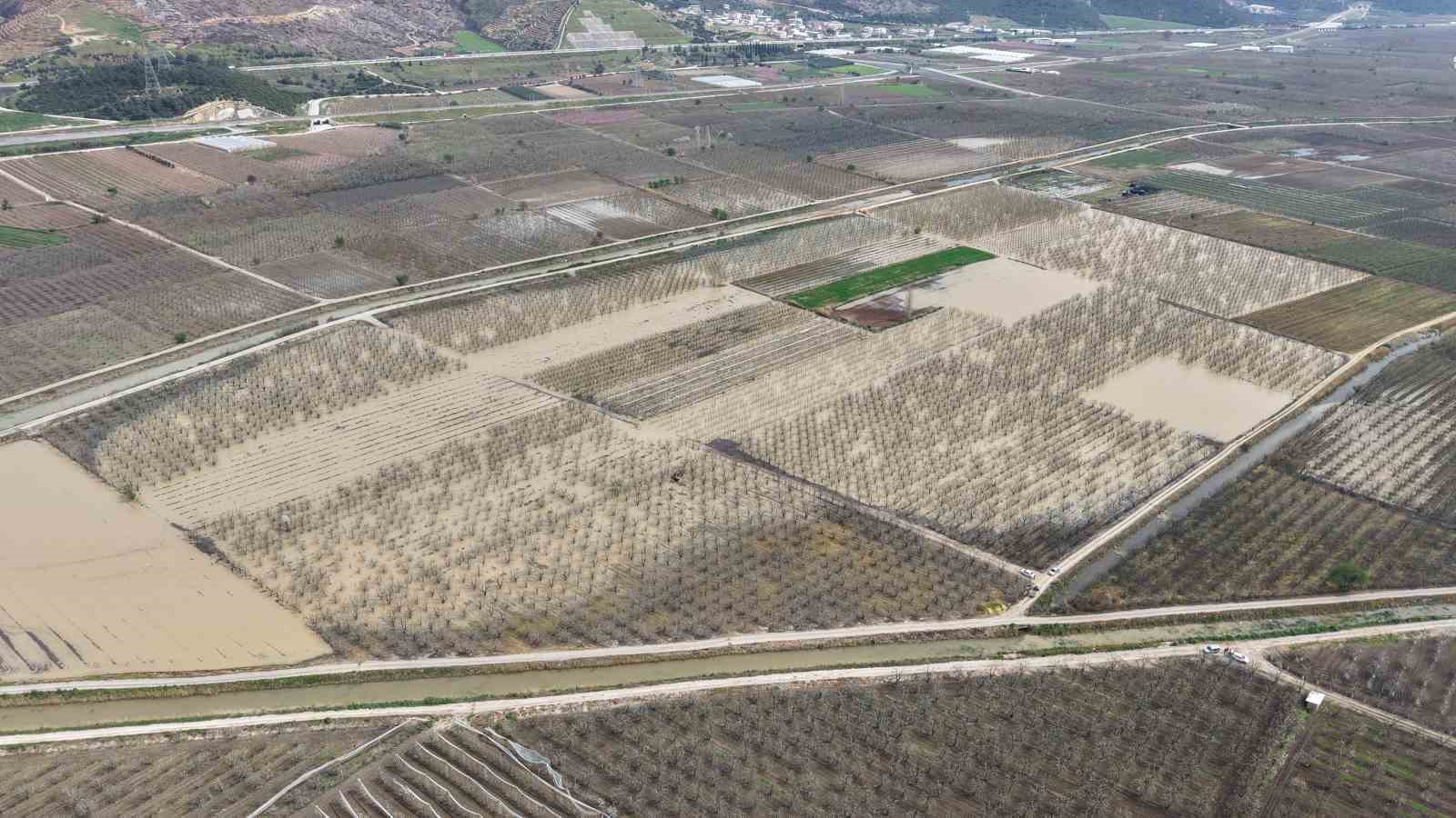 Bursa’da yüzlerce dönüm şeftali ve armut bahçesi su altında
