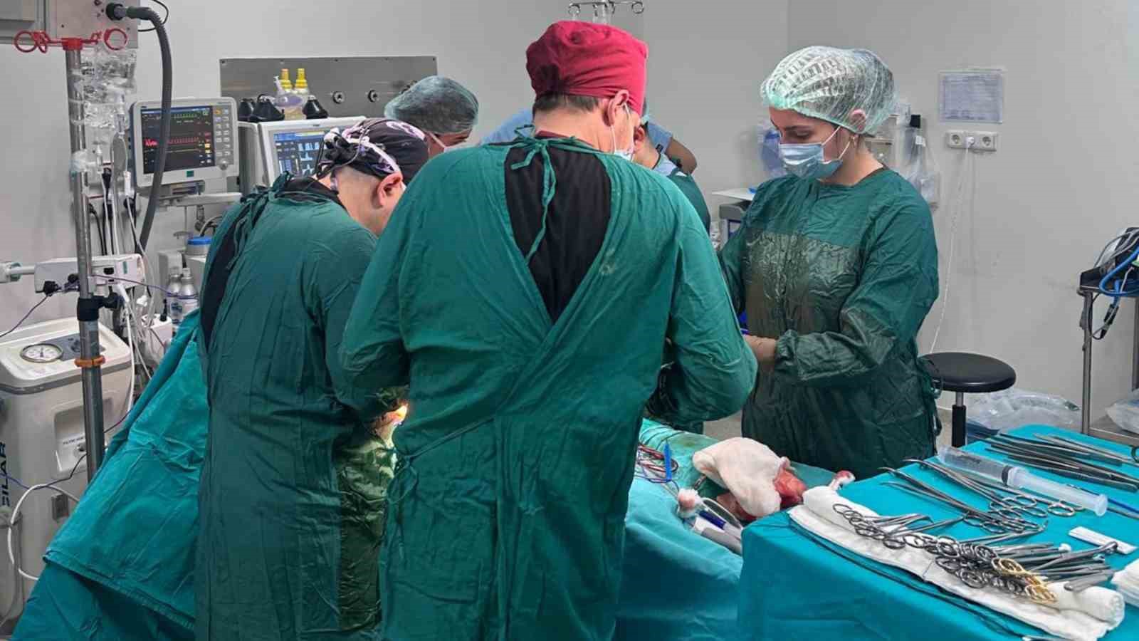 Bursalı doktor ölümüyle 5 hastaya umut oldu

