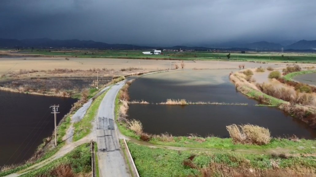 Büyük Menderes nehrindeki taşkın karayolunu kapattı
