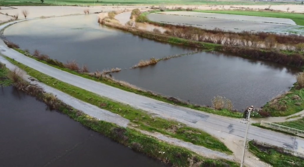 Büyük Menderes nehrindeki taşkın karayolunu kapattı
