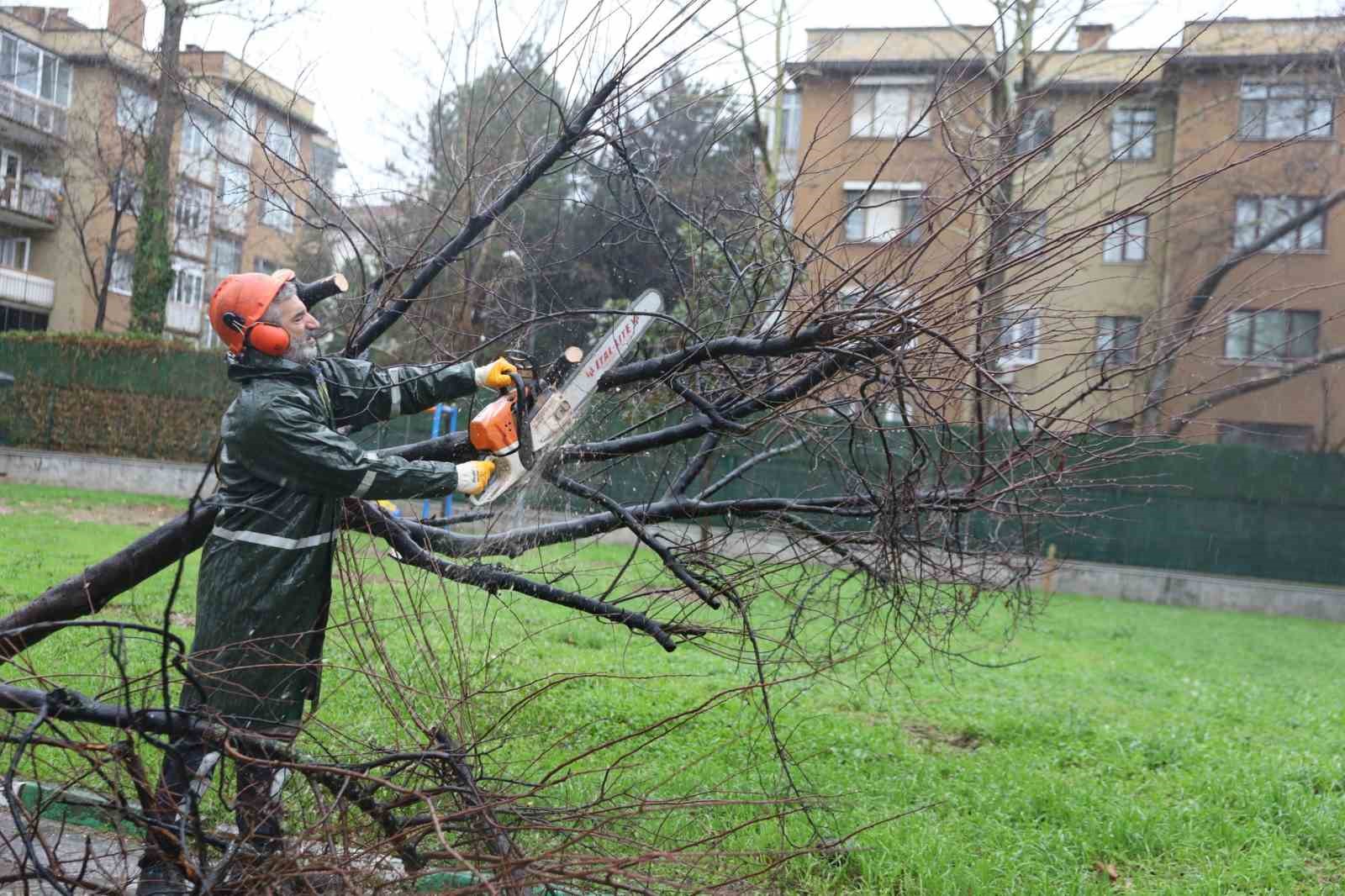 Büyükşehir ekipleri, şiddetli rüzgara karşı sahada
Büyükşehir ekipleri, şiddetli rüzgara karşı sahada
