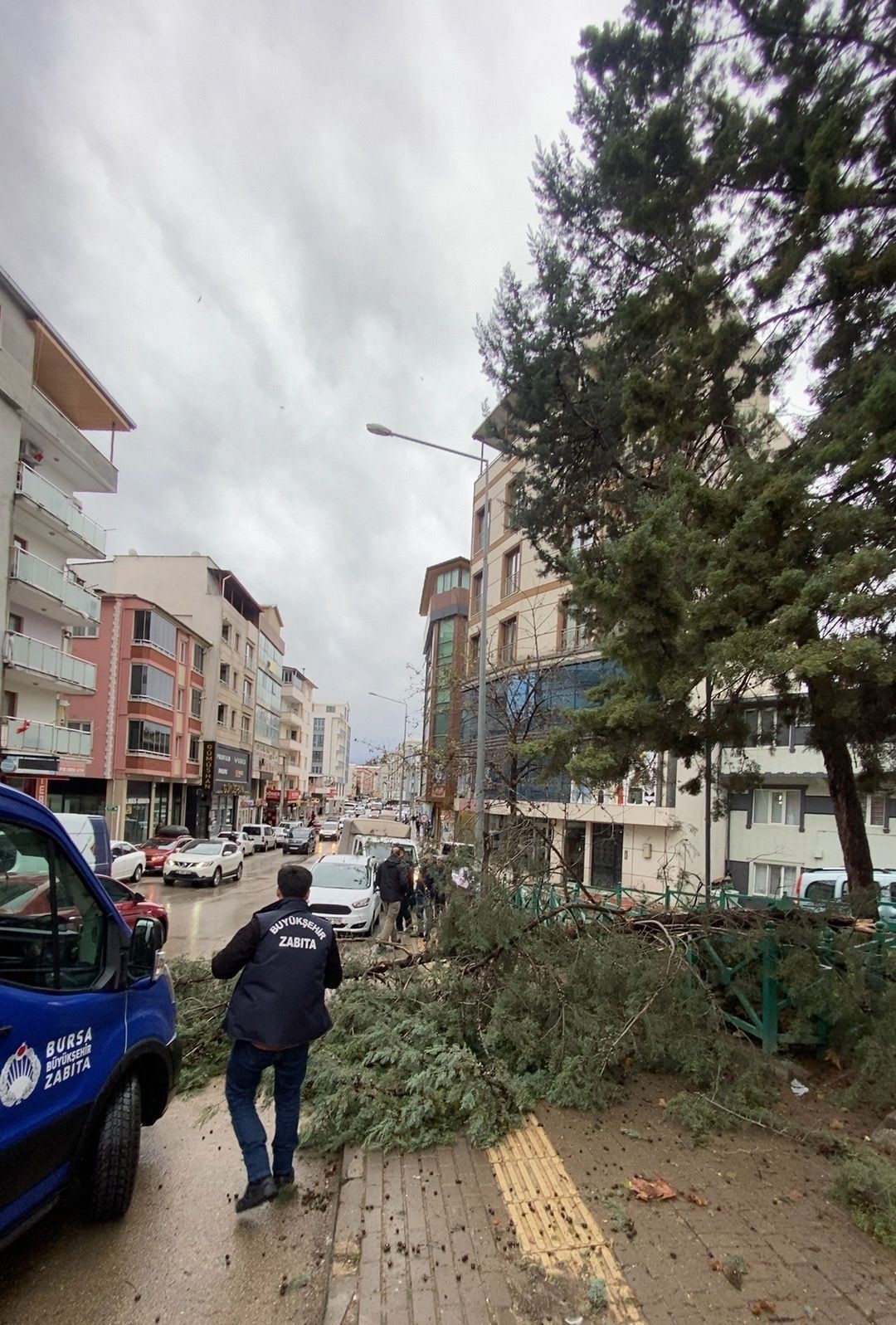 Büyükşehir ekipleri, şiddetli rüzgara karşı sahada
Büyükşehir ekipleri, şiddetli rüzgara karşı sahada