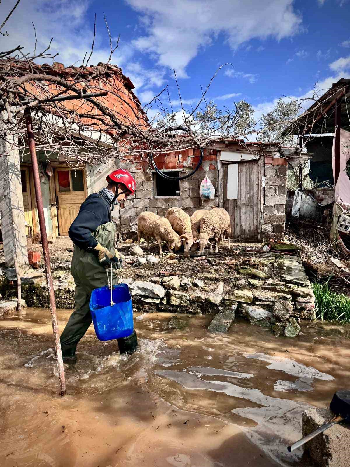 Büyükşehir ekipleri tüm canlılar için aynı özveriyle çalışıyor
Büyükşehir ekipleri tüm canlılar için aynı özveriyle çalışıyor