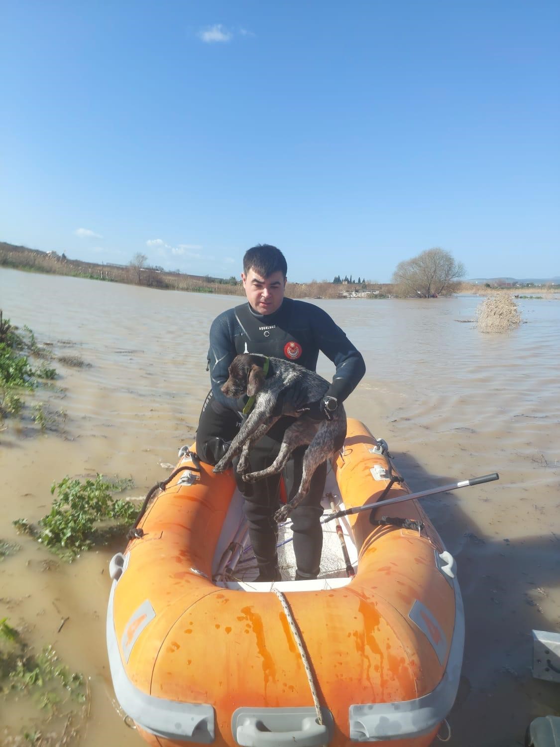 Büyükşehir ekiplerinin özverili çabası: Mahsur kalan hayvanlar kurtarıldı
