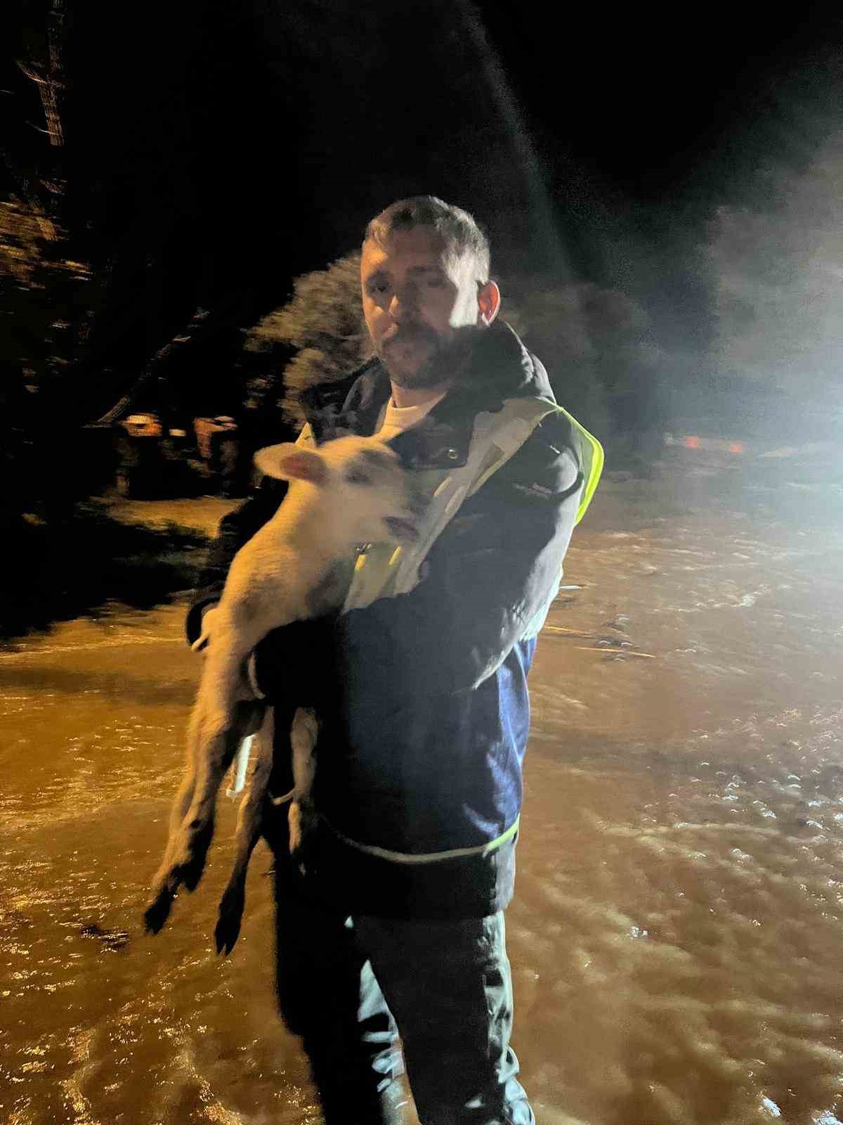 Büyükşehir ekiplerinin özverili çabası: Mahsur kalan hayvanlar kurtarıldı
