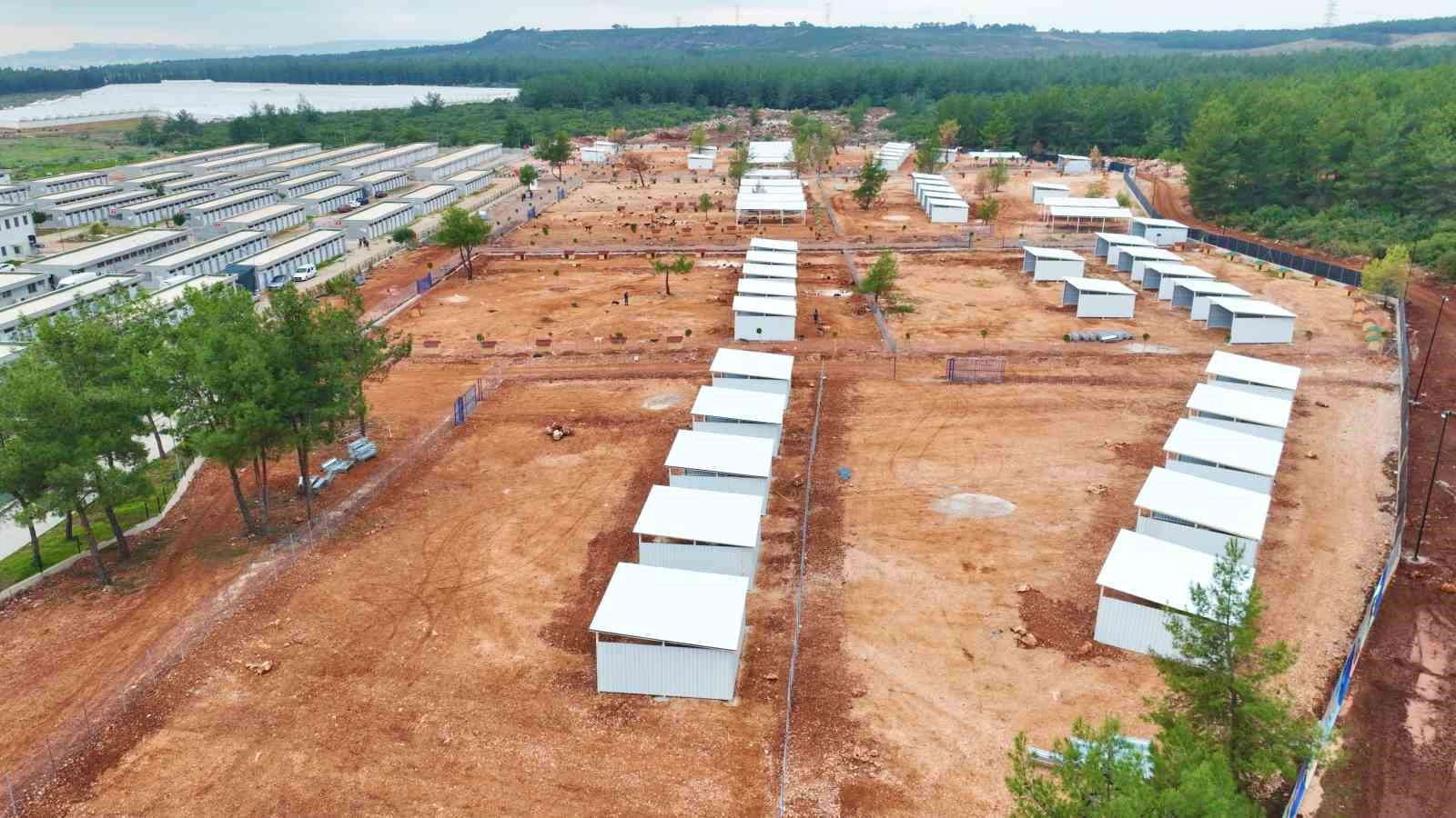 Büyükşehir sokak köpekleri için doğal yaşam alanı kapasitesini arttırdı
Büyükşehir sokak köpekleri için doğal yaşam alanı kapasitesini arttırdı