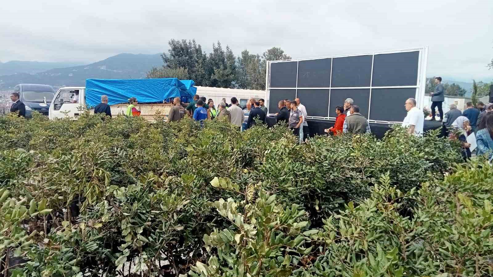 Büyükşehir’den Alanya’nın coğrafi işaretli keçiboynuzuna destek
