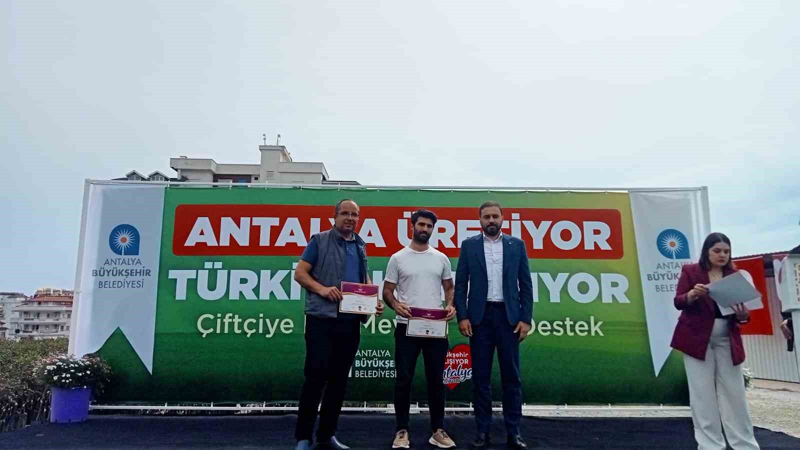 Büyükşehir’den Alanya’nın coğrafi işaretli keçiboynuzuna destek
