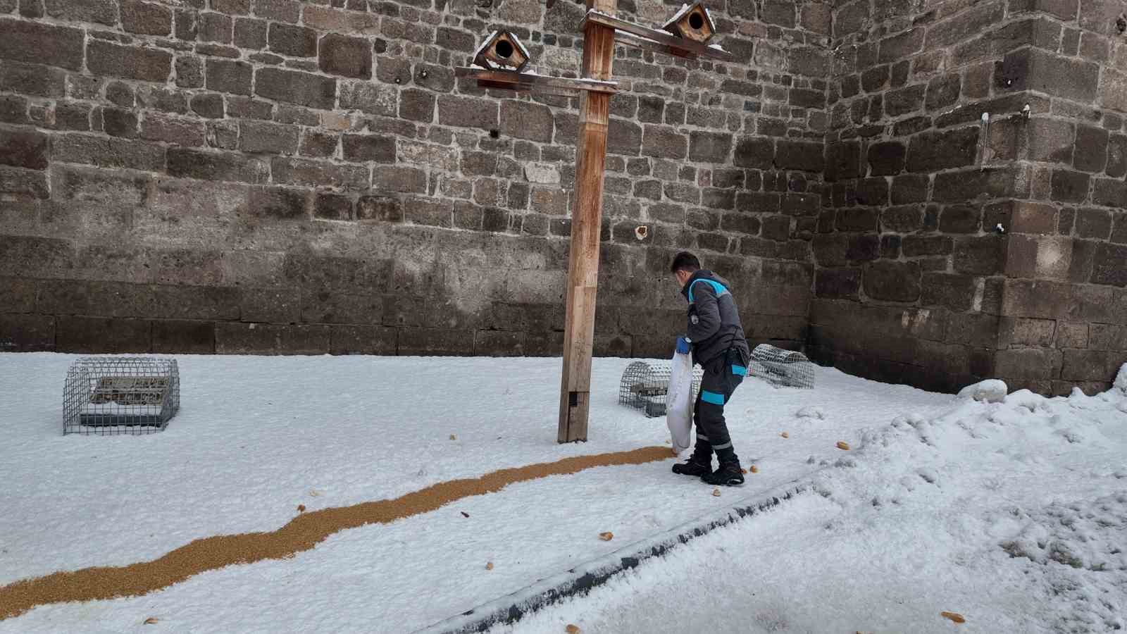 Büyükşehirden ‘dilsiz dostlara’ merhamet eli: Soğuk günlerde sıcak bir dokunuş
