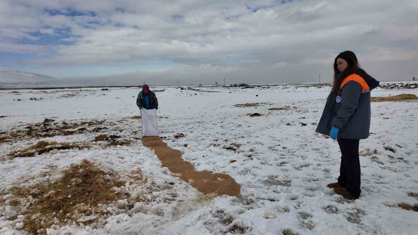 Büyükşehirden ‘dilsiz dostlara’ merhamet eli: Soğuk günlerde sıcak bir dokunuş
