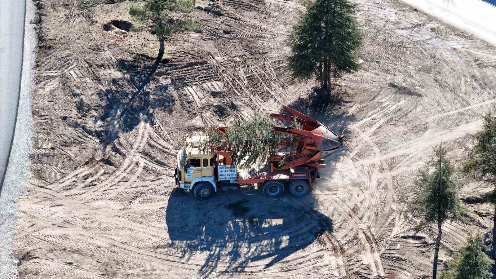 Büyükşehir’den doğaya duyarlı çalışma: Kartal Kavşağı Projesi öncesi ağaçlar taşınıyor
