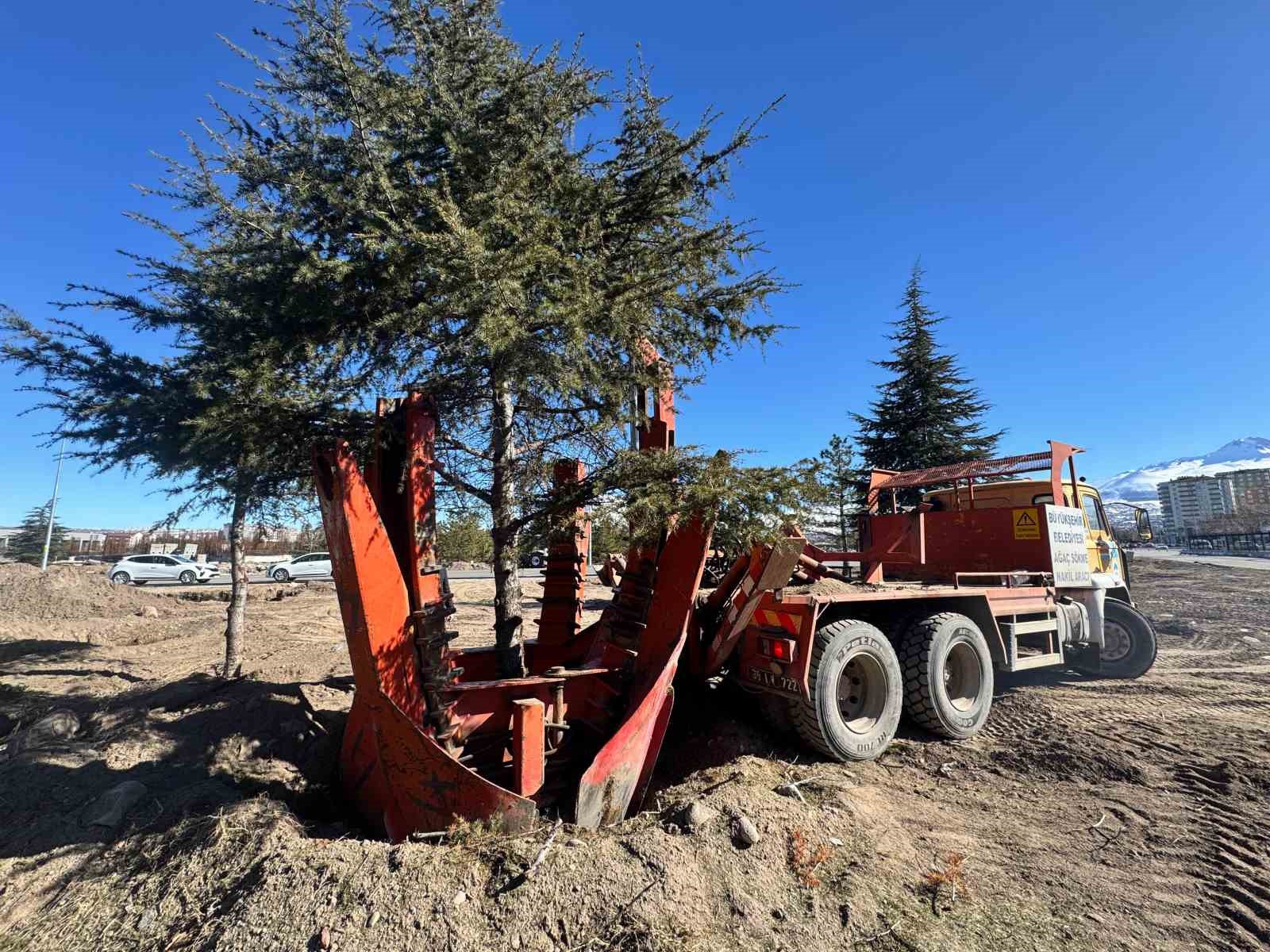 Büyükşehir’den doğaya duyarlı çalışma: Kartal Kavşağı Projesi öncesi ağaçlar taşınıyor
